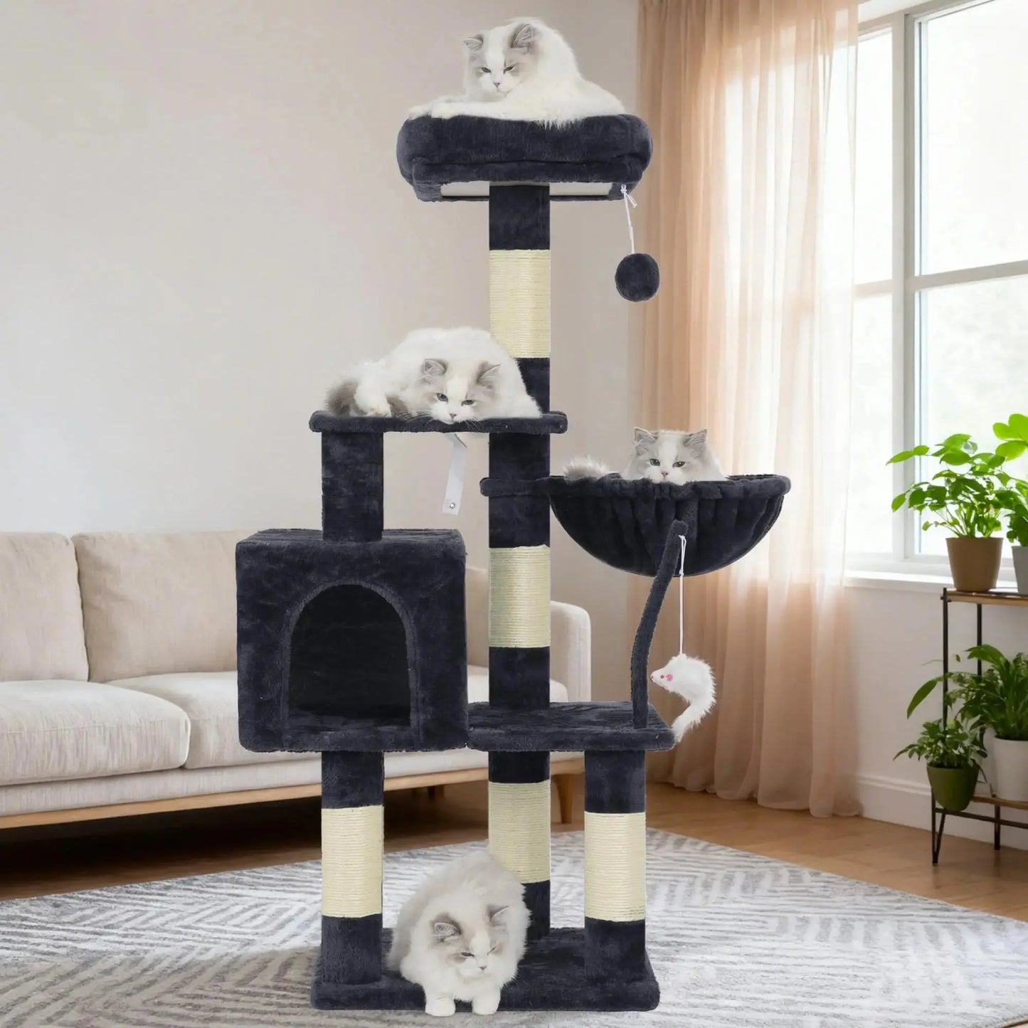 Cat House with Perch My Store