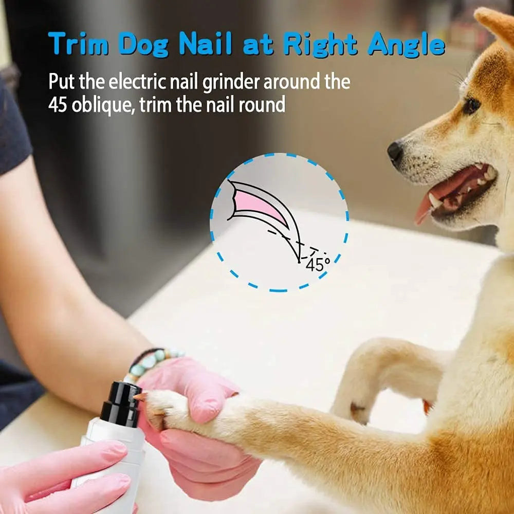 Casfuy Dog Nail Grinder My Store