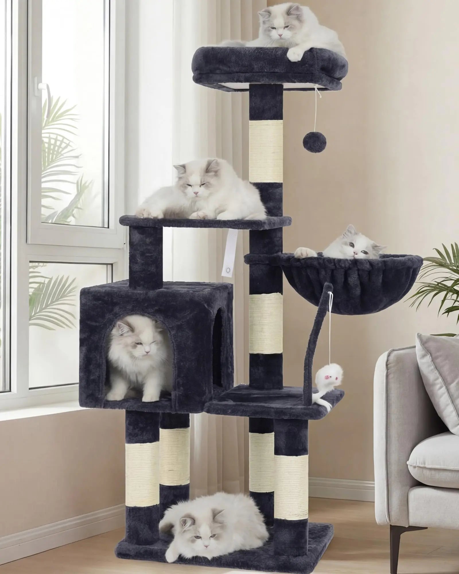 Cat House with Perch My Store