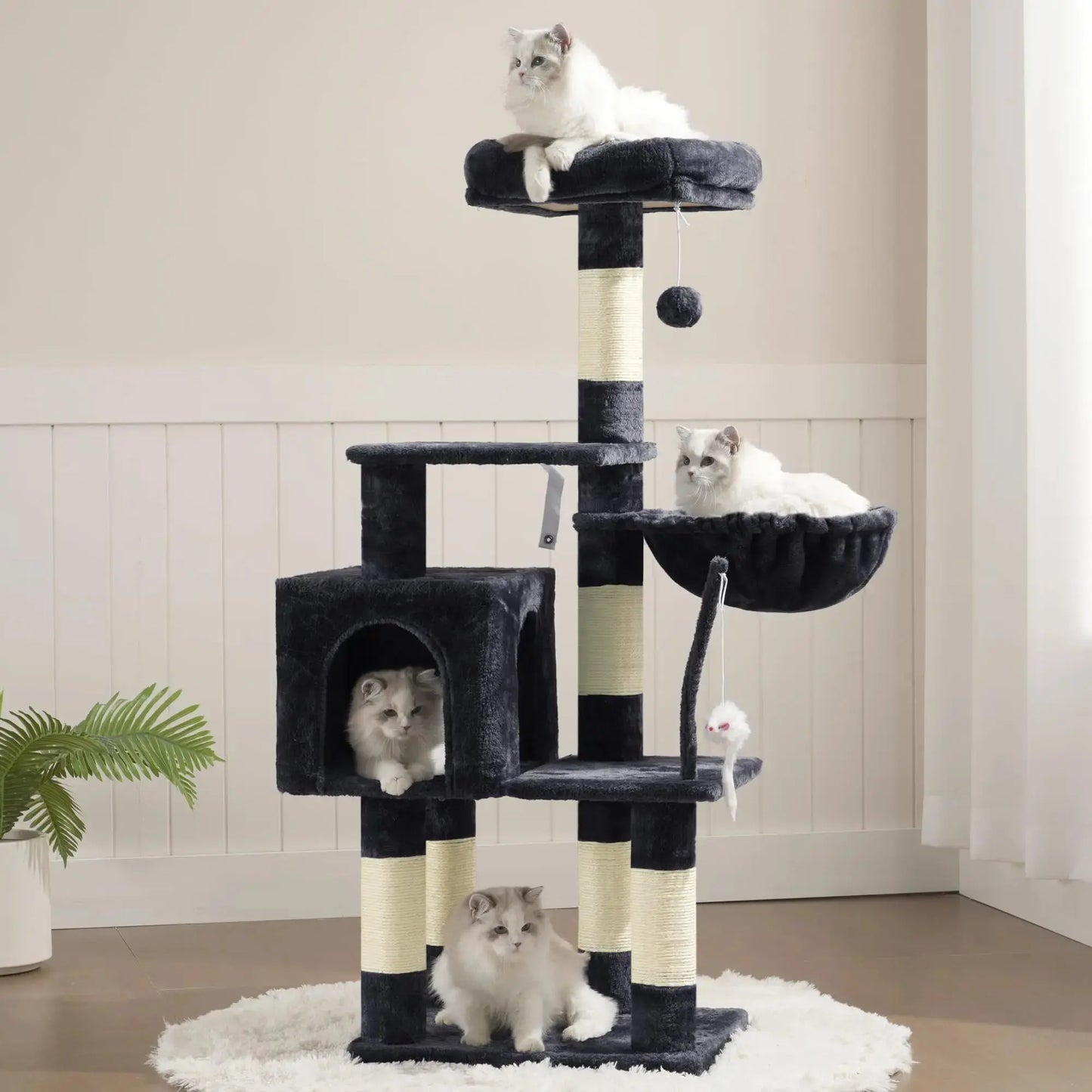 Cat House with Perch My Store