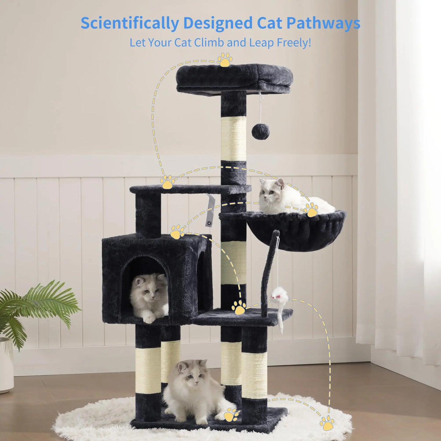 Cat House with Perch My Store