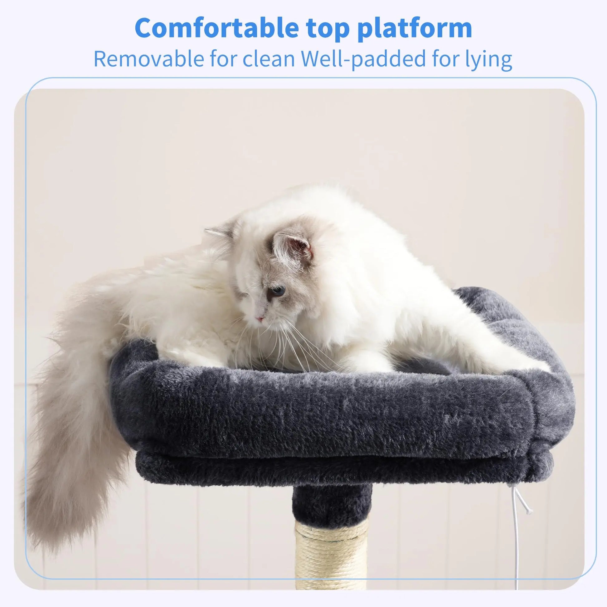 Cat House with Perch My Store
