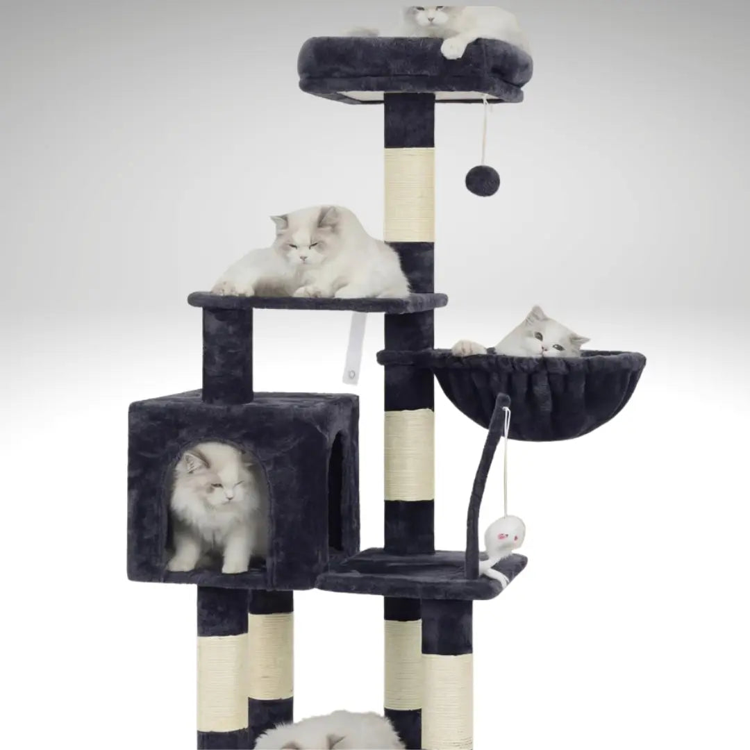 Cat House with Perch My Store
